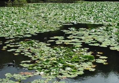 琦玉经典语录(优选20句)