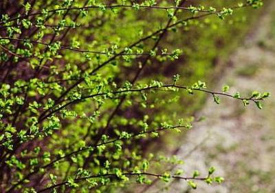 监狱风云经典语录(共50句)