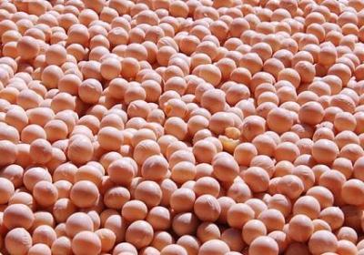 直男经典语录(汇总20句)