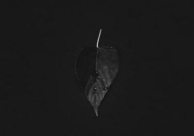 消失的爱人经典语录(共60句)