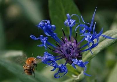 电影中的励志经典语录(共60句)