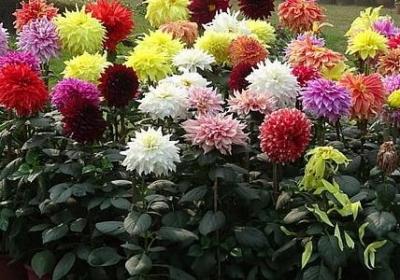 王阳明心学经典语录(精选87句)