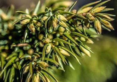 看见经典语录(优选40句)