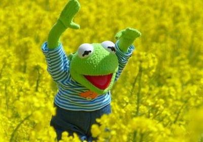 甄嬛传台词经典语录(精选60句)