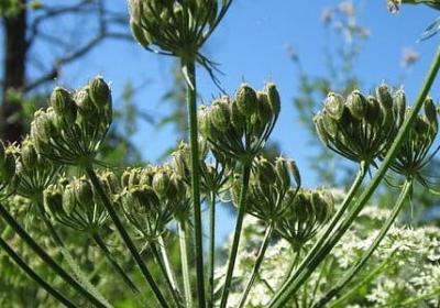 涅盘经经典语录(精选39句)