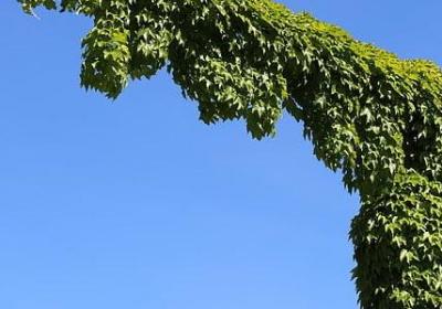 深夜食堂经典语录(实用12句)