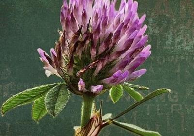 相遇的句子经典语录(精选40句)