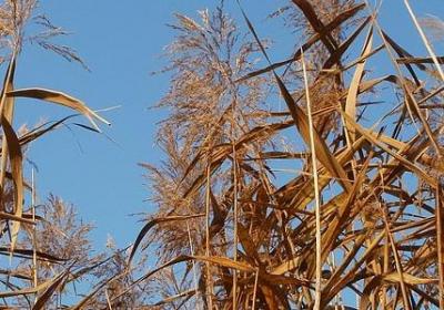 社会经典语录(汇总20句)