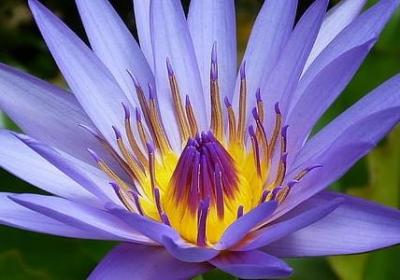 灰商经典语录(精选40句)