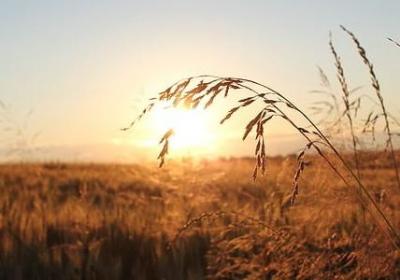 痞老板经典语录(精选20句)