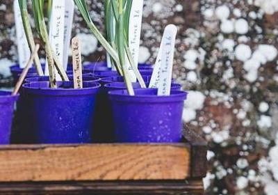 电视剧中的经典语录(实用50句)