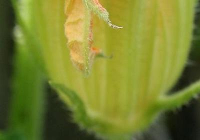 灌篮高手经典语录(共70句)