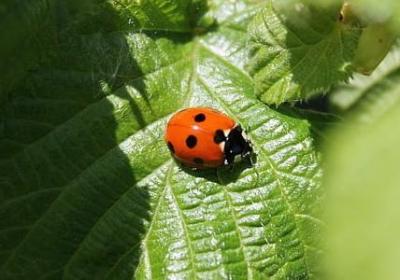 爱国经典语录(70句)