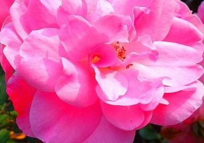 磁场不合的经典语录(64句)