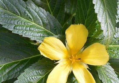 玉子市场经典语录(合集30句)