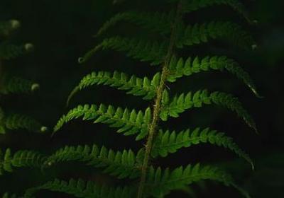 男人帮顾小白经典语录(汇总80句)