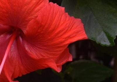 现实经典语录(通用20句)