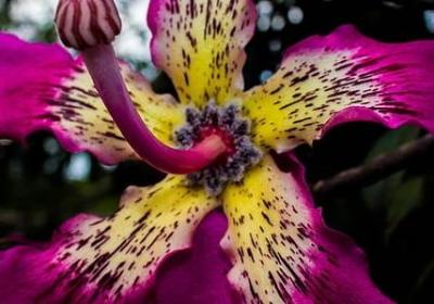 真正关心的人经典语录(共60句)