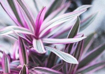 爱做饭的女人经典语录(推荐90句)