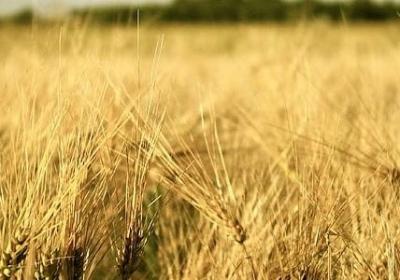 电视剧的经典语录(热门70句)