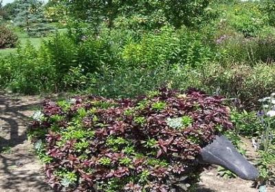 爱情佛语经典语录(汇总50句)