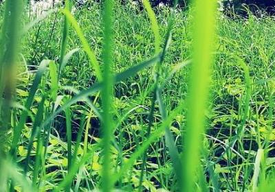 王俊凯励志经典语录(共80句)