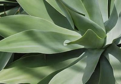 眠空经典语录(热门40句)