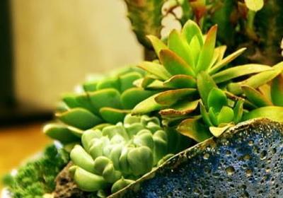 理解和体谅的经典语录(必备40句)