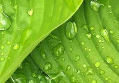 社会人的经典语录(精选50句)