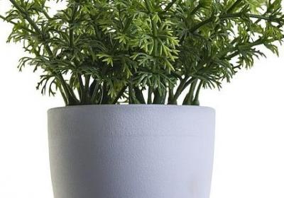 睡不着的经典语录(共80句)