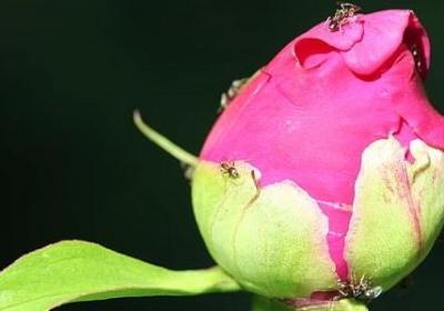 生活就是这样经典语录(80句)