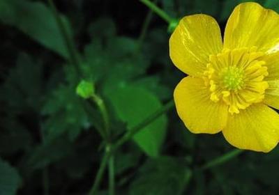 电影台词经典语录(合集60句)