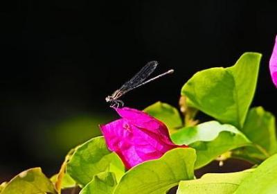 滚滚红尘经典语录(热门70句)