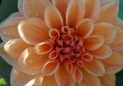 爱情需要经营经典语录(90句)