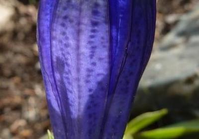 父母盼儿归的经典语录(精选50句)