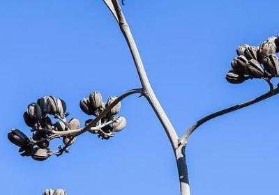 爱自己爱生活经典语录(精选58句)