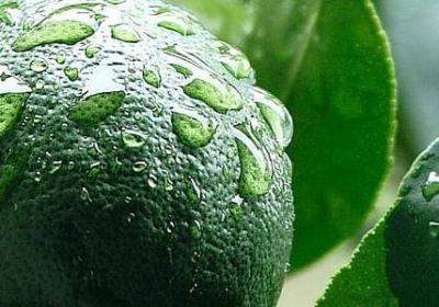 看脸的社会 经典语录(优选70句)