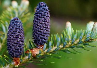 知己难觅的经典语录(优选50句)