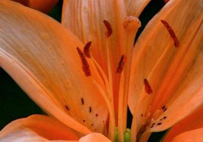 电影摆渡人经典语录(40句)