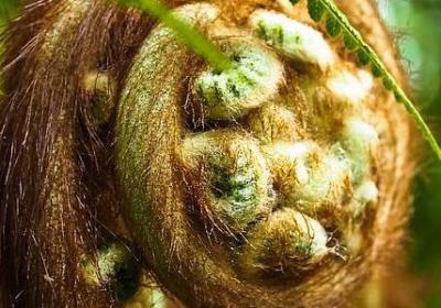 澜本嫁衣经典语录(通用60句)