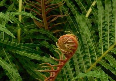 相爱十年的经典语录(必备80句)