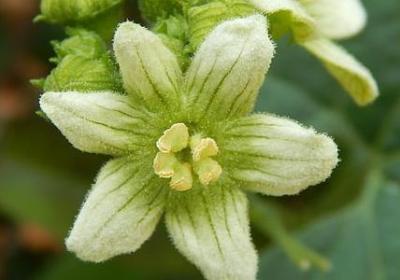 理财的经典语录(合集40句)