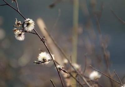 生活像面镜子经典语录(精选50句)