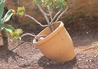 社会的现实经典语录(80句)