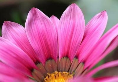 直播经典语录(热门100句)