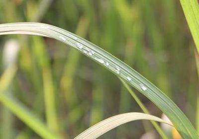 相约星期二经典语录(推荐97句)