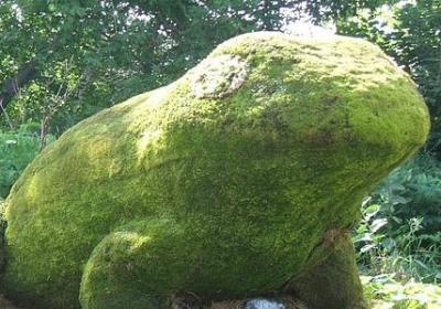 生儿育女经典语录(优选50句)