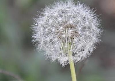 画江湖经典语录(通用20句)