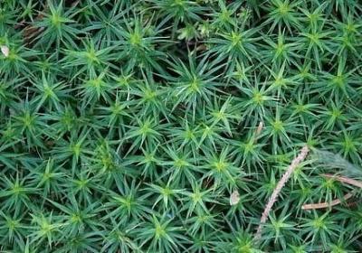 混社会的经典语录(热门20句)