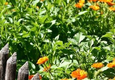 渡劫经典语录(优选45句)